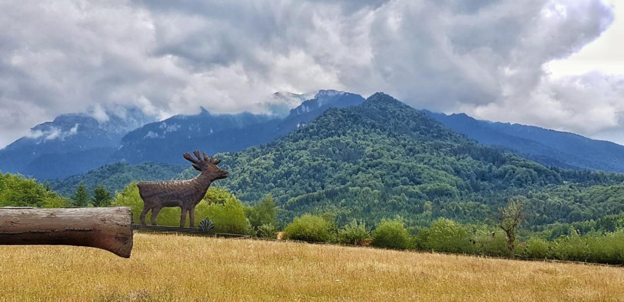 Cabana Vanatorului Rîşnov Exterior foto