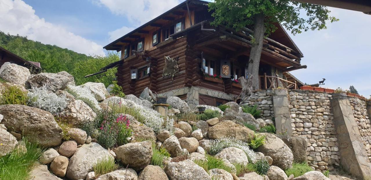 Cabana Vanatorului Rîşnov Exterior foto